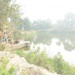 Vraj-Yatra-2014- (2484)